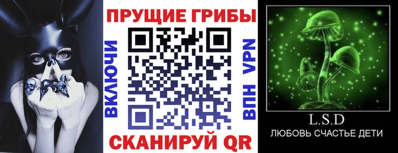 Псилоцибиновые грибы ЛСД  Купить закладки  Ершов 