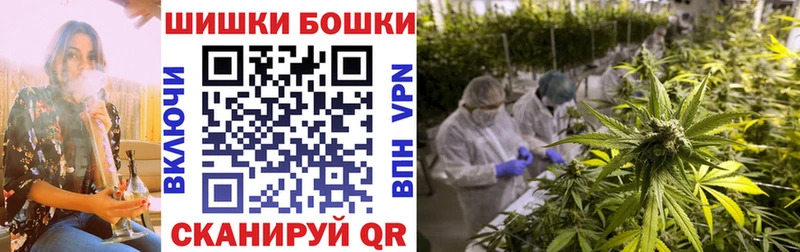 Купить закладки  Ершов  Марихуана семена 